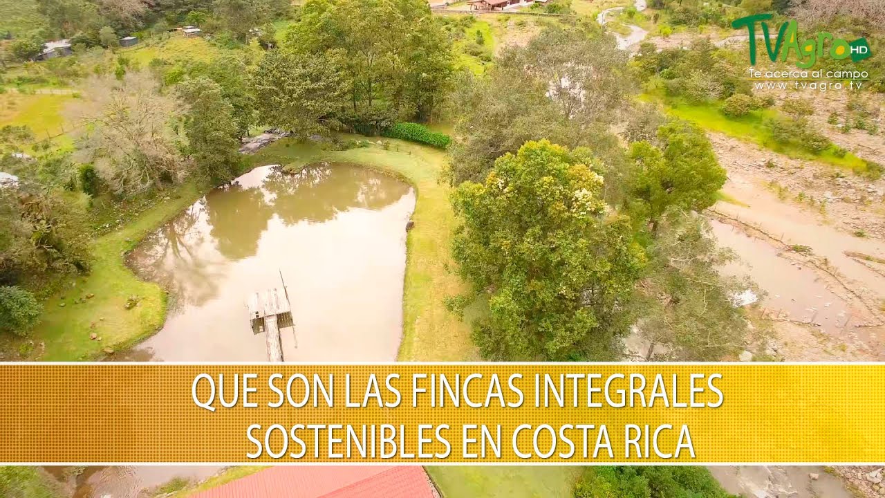 Que son las Fincas Integrales Sostenibles en Costa Rica- TvAgro por Juan Gonzalo Angel Restrepo