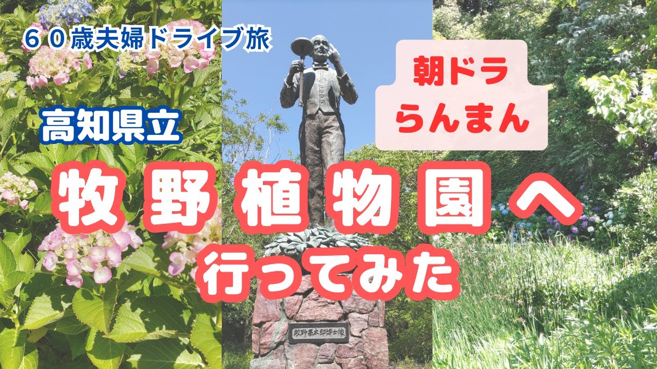 【高知県立牧野植物園】らんまんを見て植物園へ行きたくなり岡山県から高知まで夫婦ドライブ旅しました。終わりに短歌も詠んでます。＃シニア旅