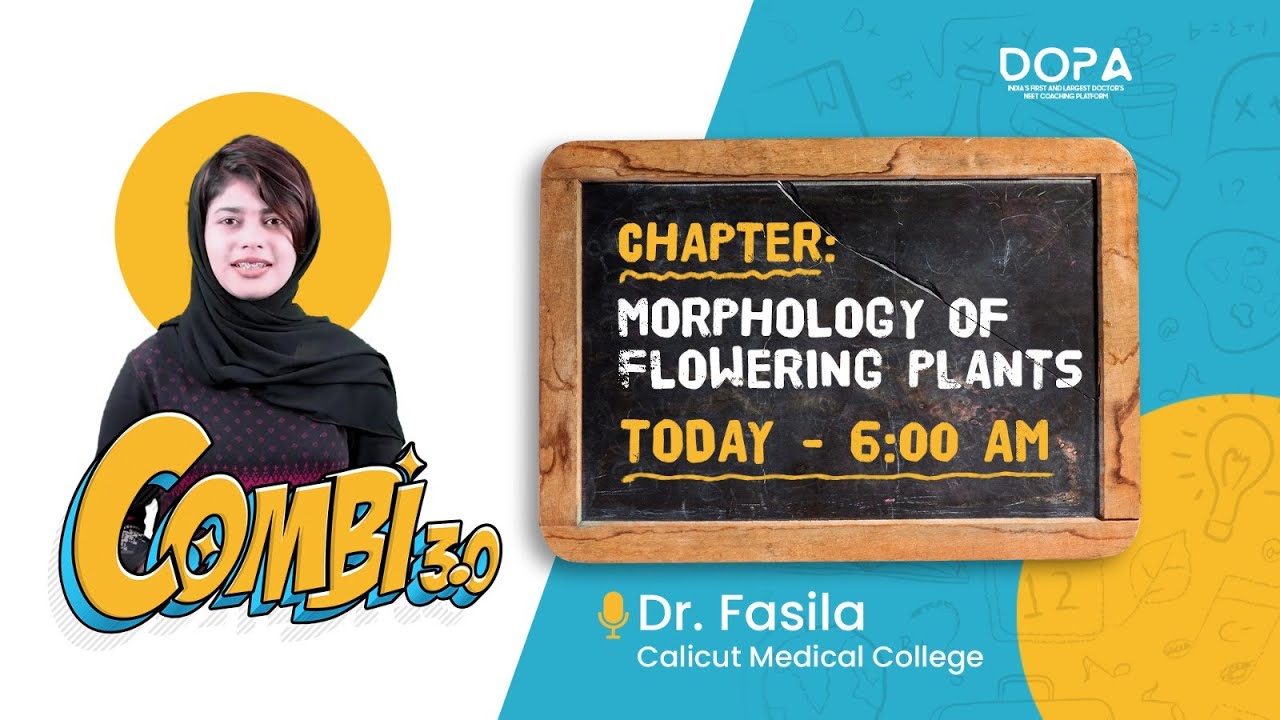 Morphology of flowering plants | Combi 3.0 | Dr Fasila #neet2024 #neetprepartion