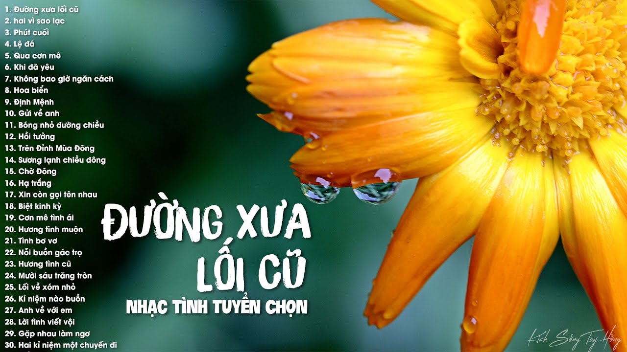 Đường Xưa Lối Cũ, Hai Vì Sao Lạc - 35 Bài Nhạc Tình Hải Ngoại Tuyển Chọn Say Đắm Con Tim Yêu