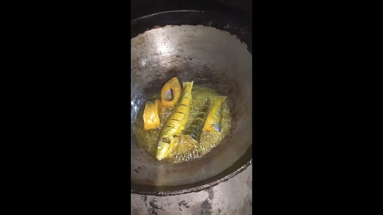 Bagna mass j shad 