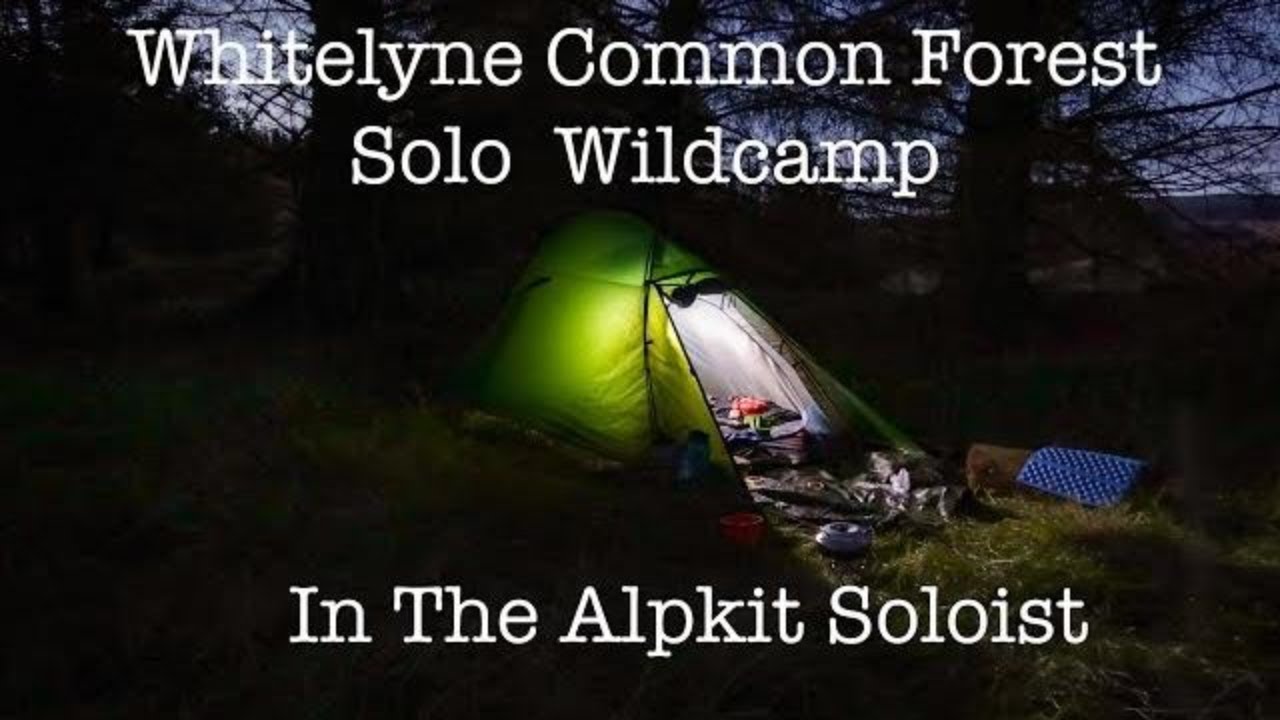 Solo Wildcamp | Forest | Alpkit Soloist.