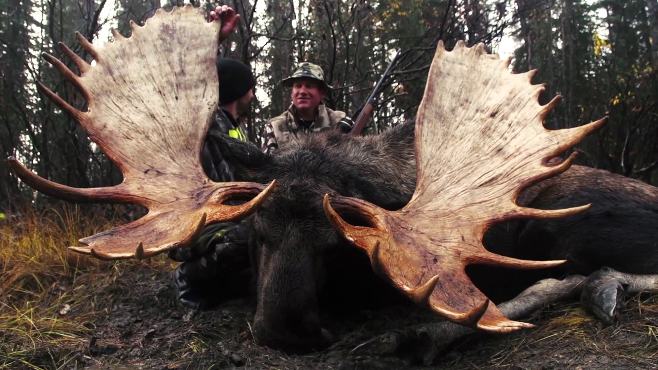 Охотничьи приключения Джима Шоки &mdash; The Outfit: Rogue River Outfitters &mdash; Outdoor Channel