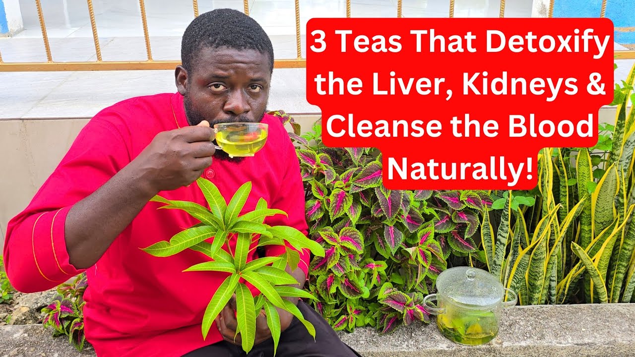 3 Powerful Jamaican Herbal Teas for Liver, Kidney & Blood Cleansing | Natural Total Body Reset