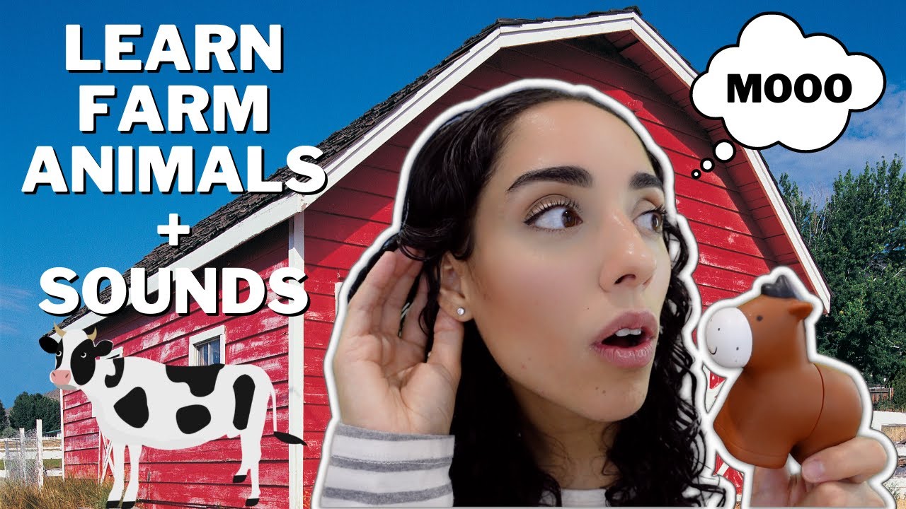 Learn Farm Animals for Toddlers | Old Mac Donald Had a Farm | Learn Spanish for Toddlers