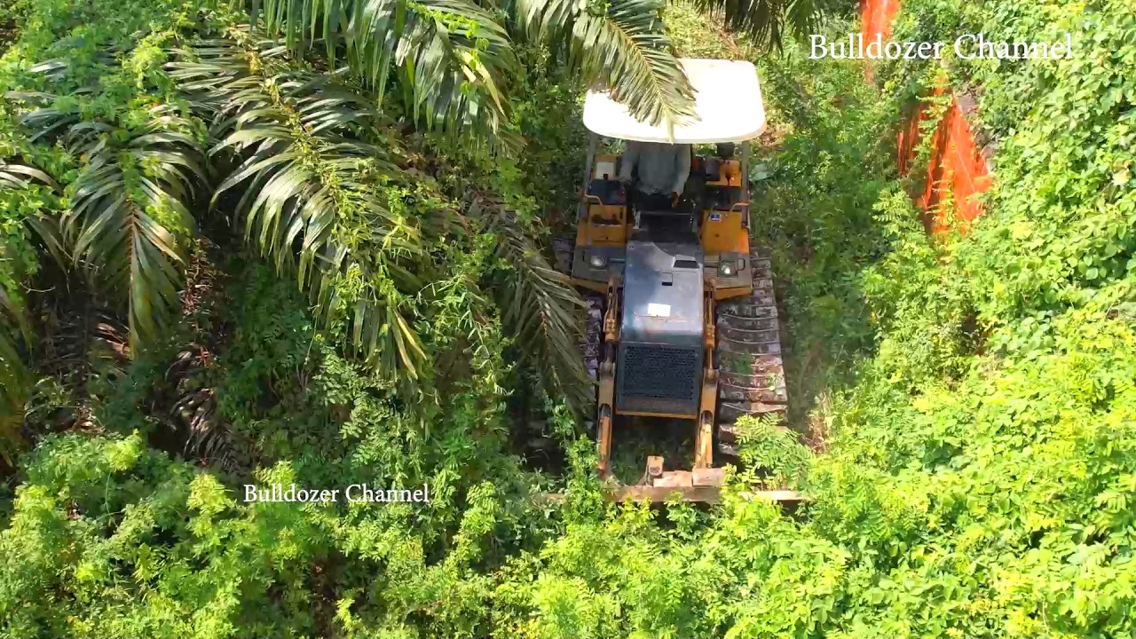 Amazing Project Landfill By Skills Bulldozer D20P Skill Pushing Soil - Dozer Clearing Forest