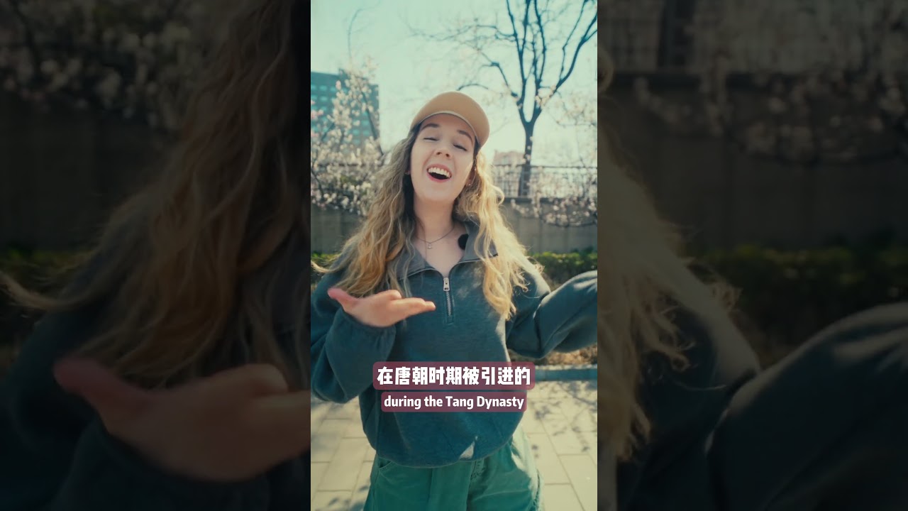 Всё, что я считал японским, на самом деле китайское (Правда о династии Тан).