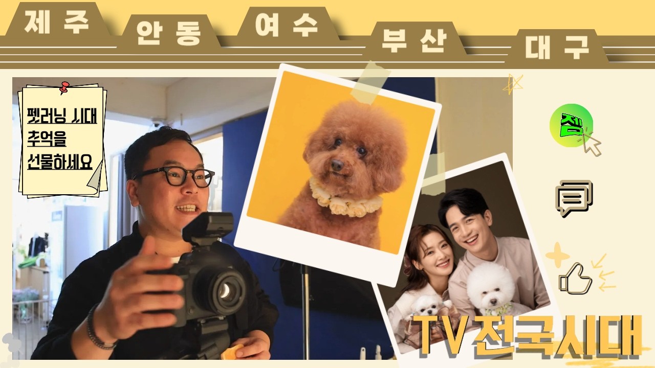 펫러닝시대 추억을 선물하세요! 260312(목) [TV전국시대]