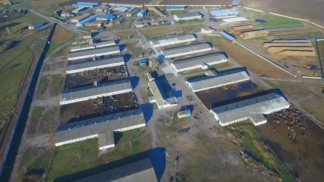Свята і будні агрофірми