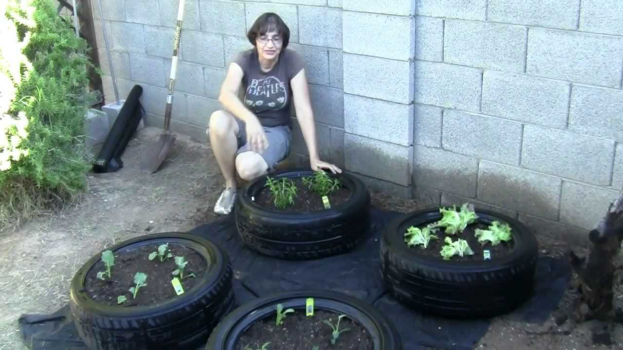 How to Make a Tire Garden for Growing Lettuce and Herbs