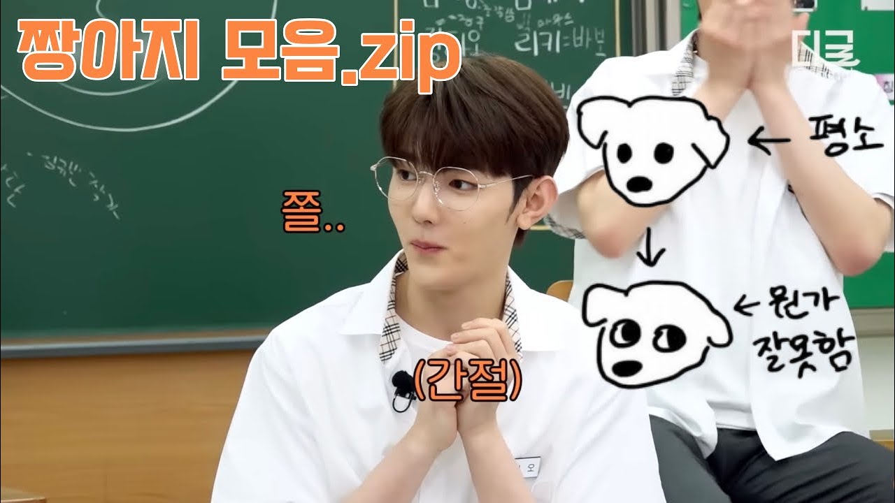 짱(하오+강)아지 모음.zip