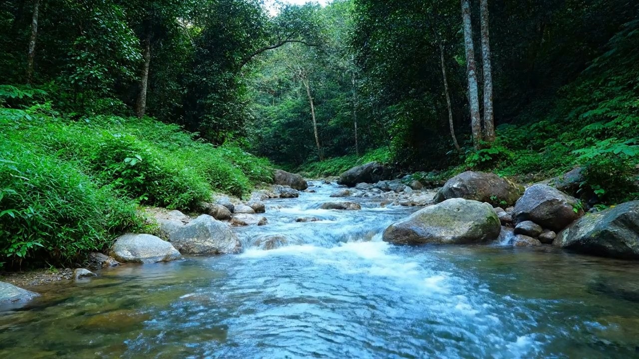 Deep Rest – Beautiful Enchanted Water River Sound in Quiet Nature – Sleep Better