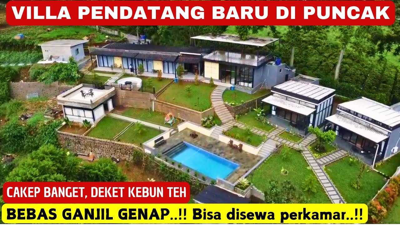 VILLA PENDATANG BARU DIPUNCAK‼️VILLA SERENI TEA‼️ Asli rekomend #villa #puncak #bogor