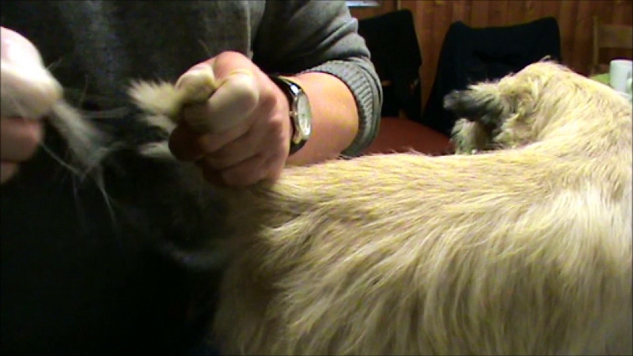 Handtrimming