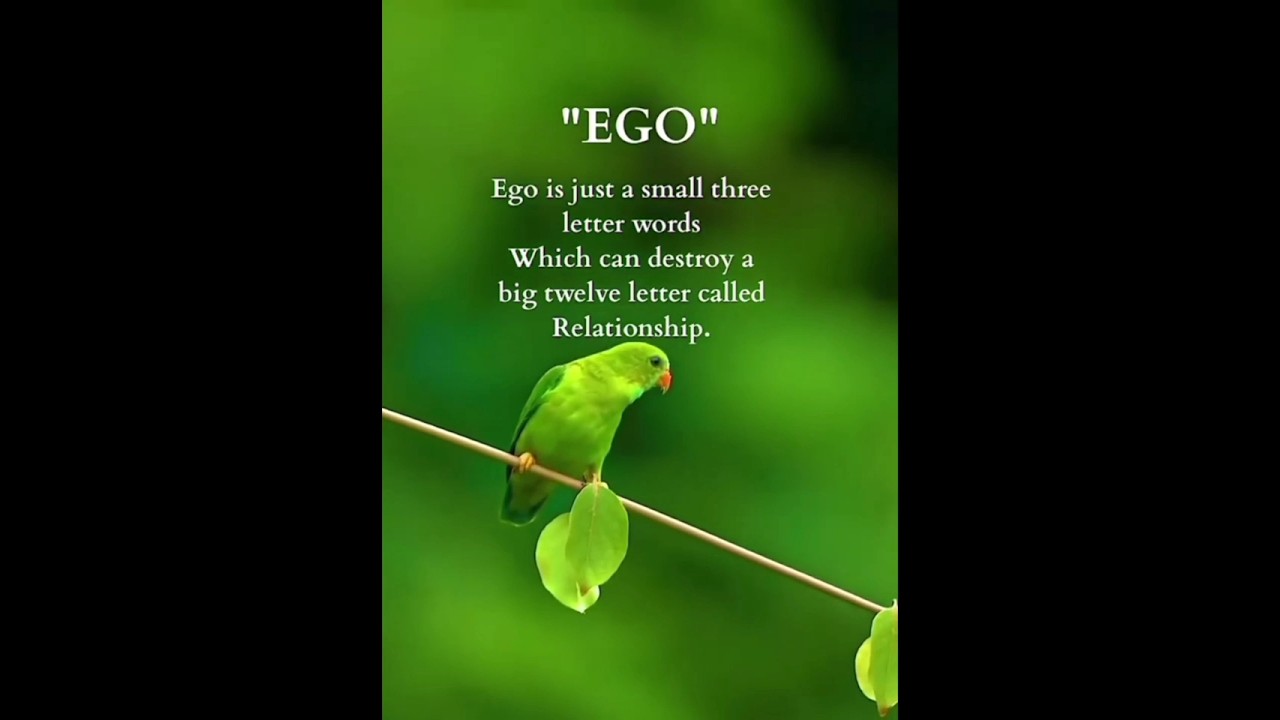 Ego Can Destroy Any Relationship &ndash; Choose Love Over Pride 💔❤️