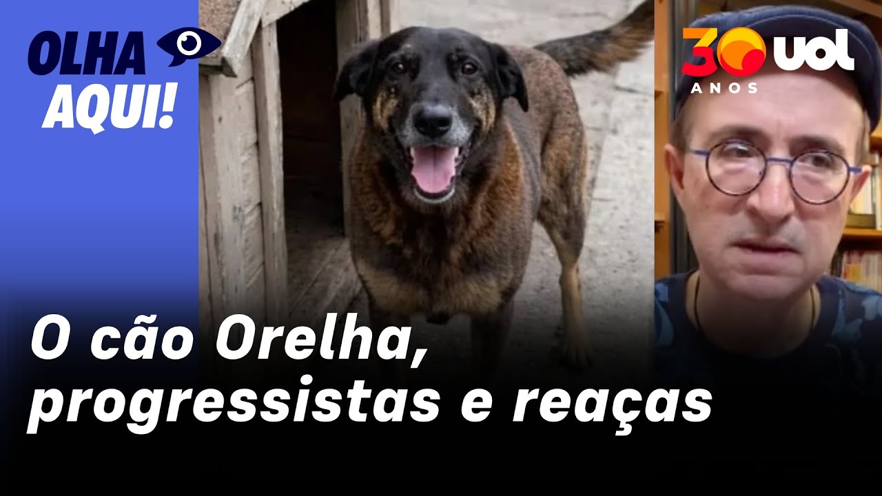 Reinaldo: No pavoroso caso do cão Orelha, progressistas fazem o esperado. E os reaças?