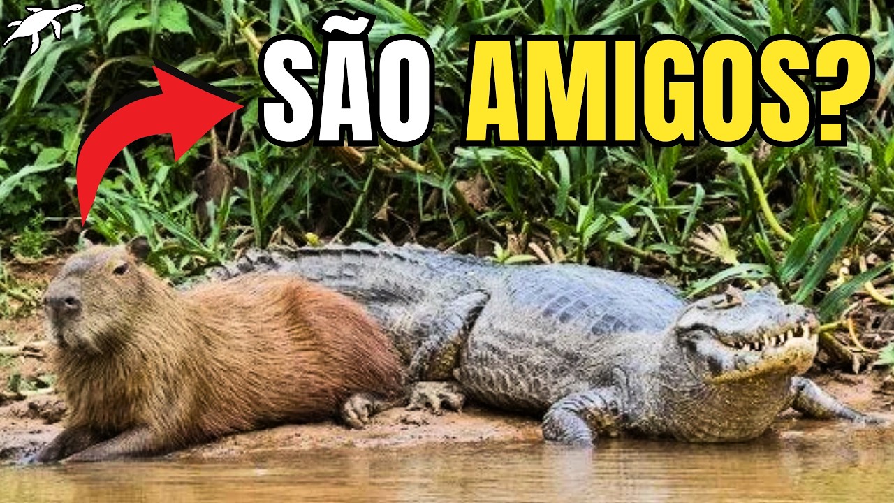 BIOLOGIA INSANA da CAPIVARA