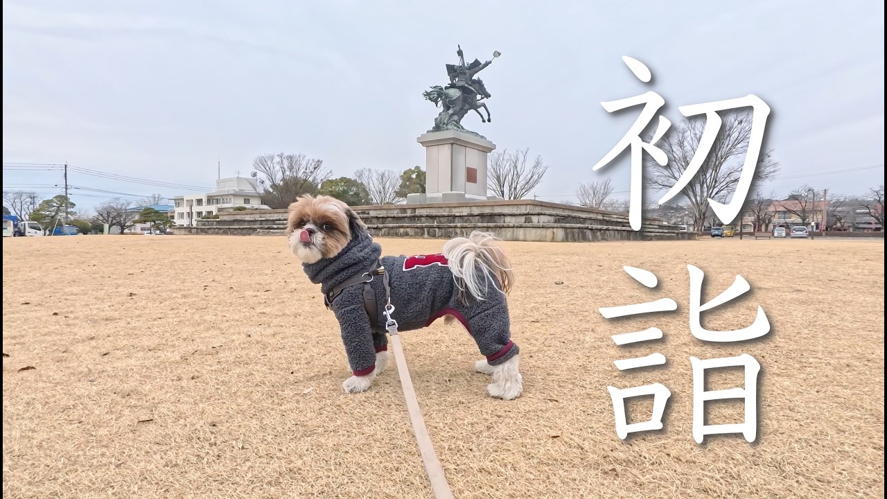 第５４話初詣（神龍八大龍王神社）と八女市くるみCafeに行ったお話。