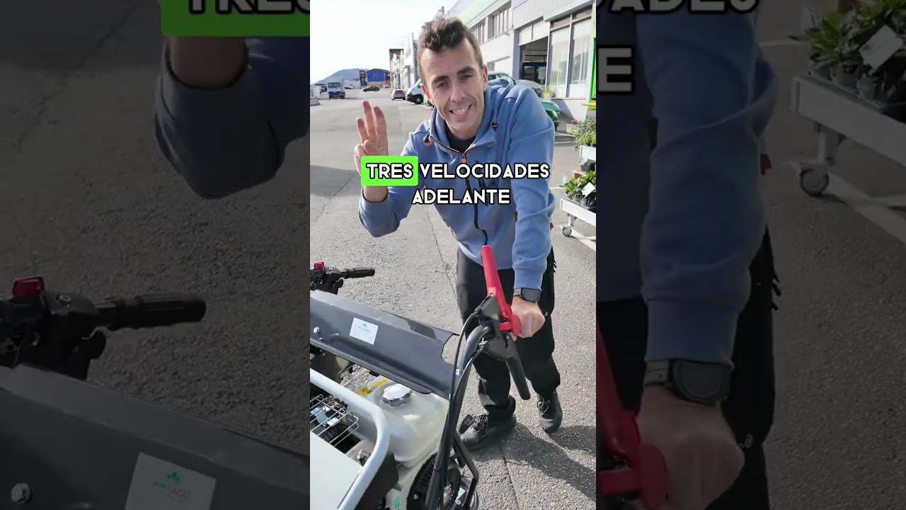 Carretilla Oruga gasolina Honda TT HP 311