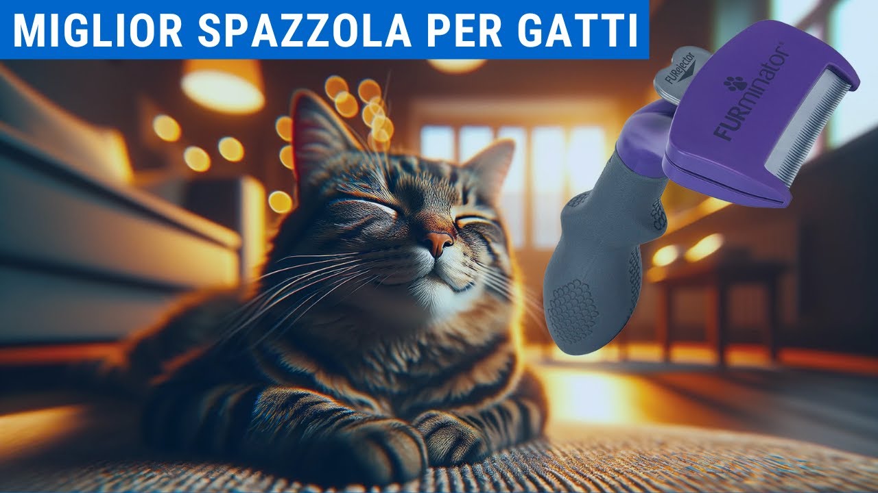 Furminator Gatto Recensione 😺 Miglior Spazzola per Gatti 🌟 (BEST BUY)