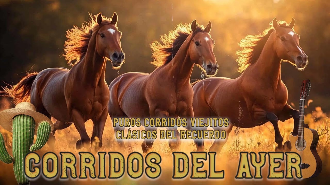 Corridos Norteños de Oro | Clásicos Eternos del Ayer 💯