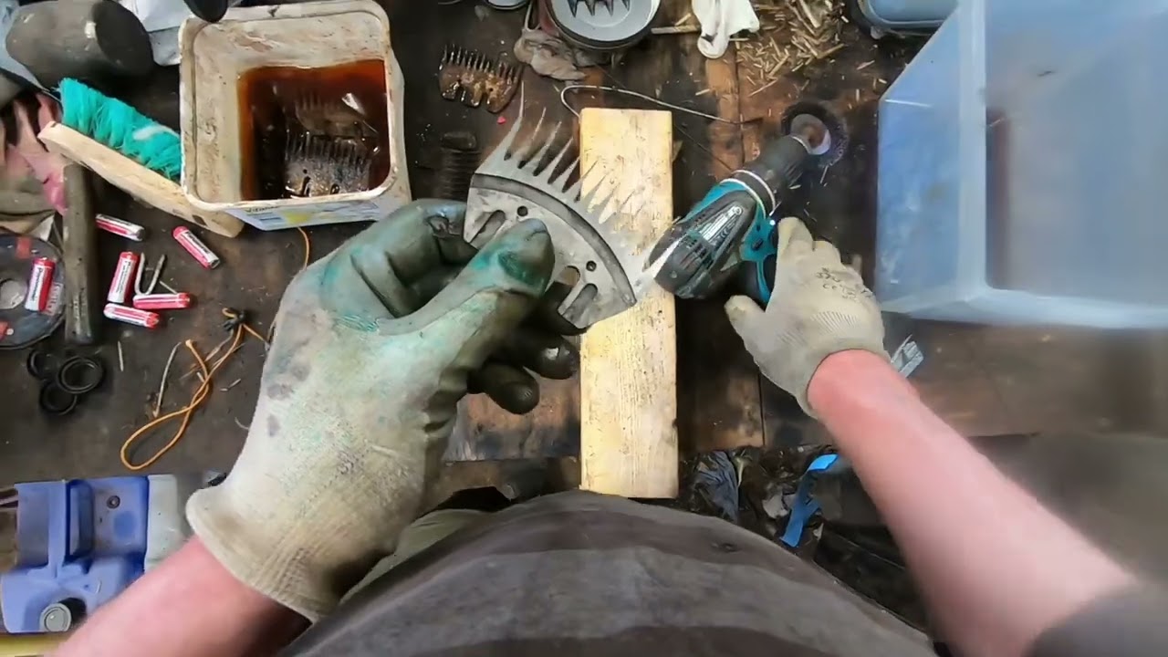 Sheep sheering ( cleaning and sharpening combs, cutters )