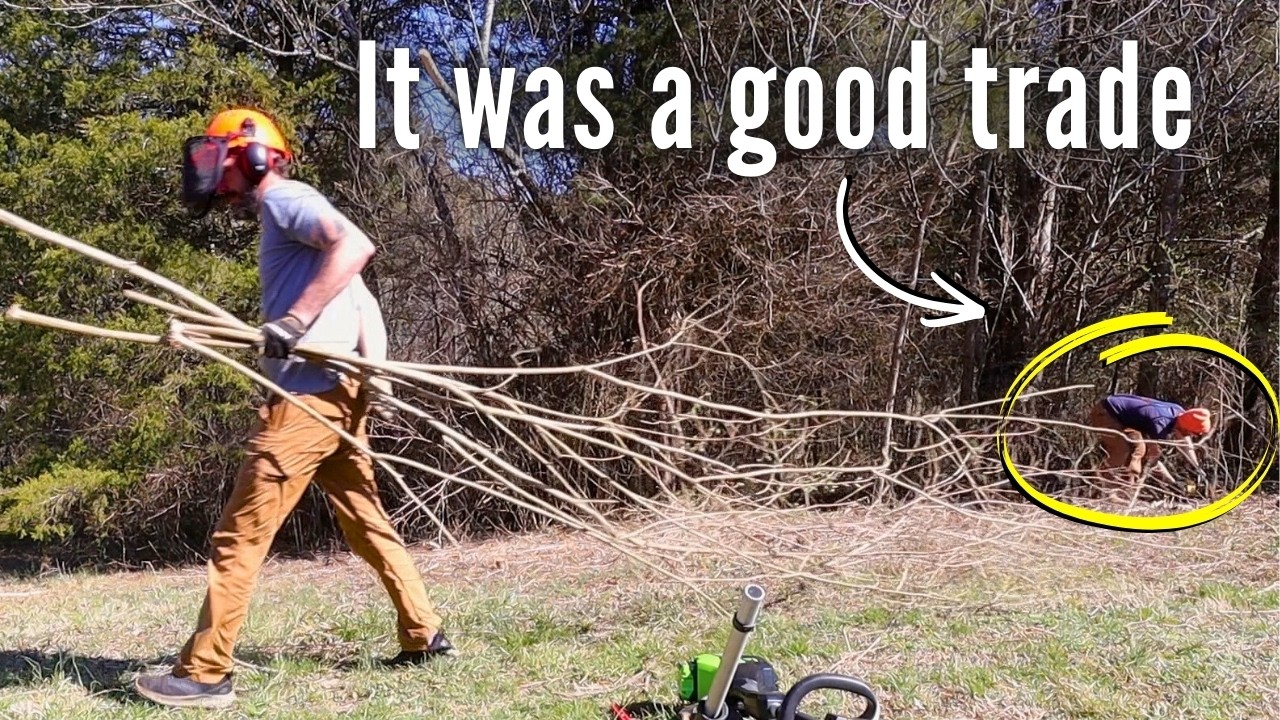 I offered my friend some help and then made great project on our homestead