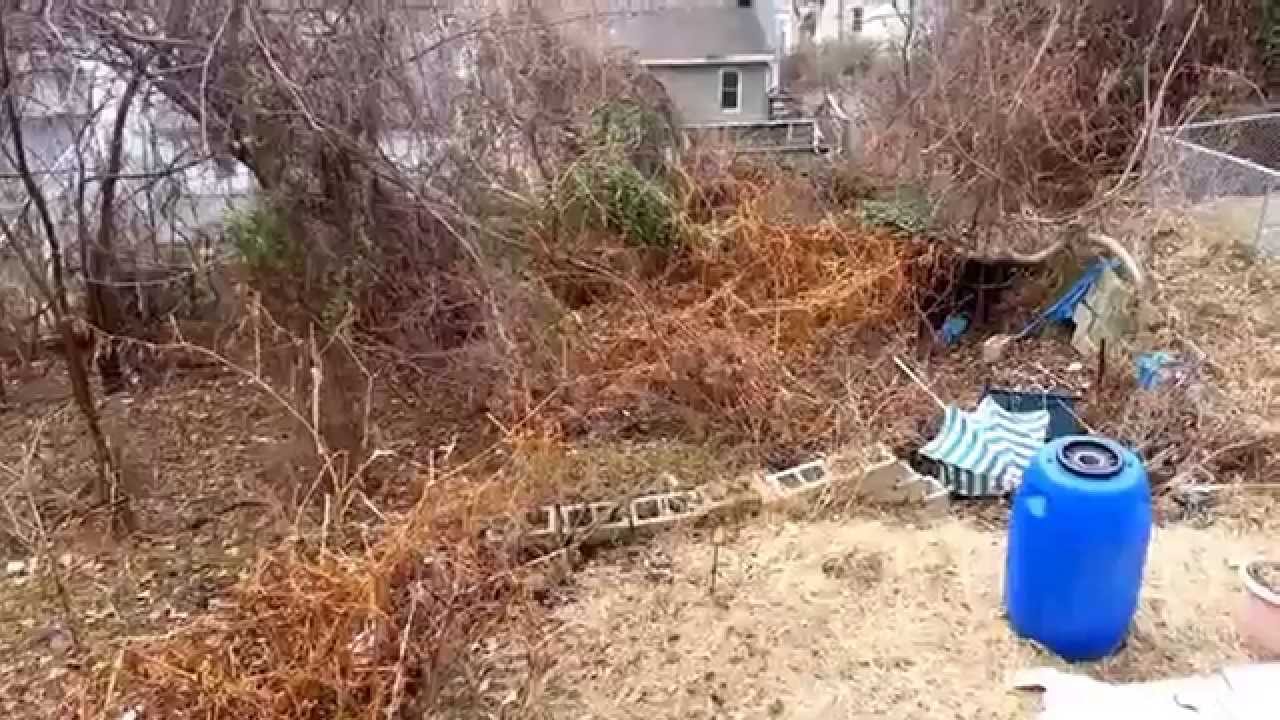 Community Compassion Steelton, PA BioRemediation Project 2015
