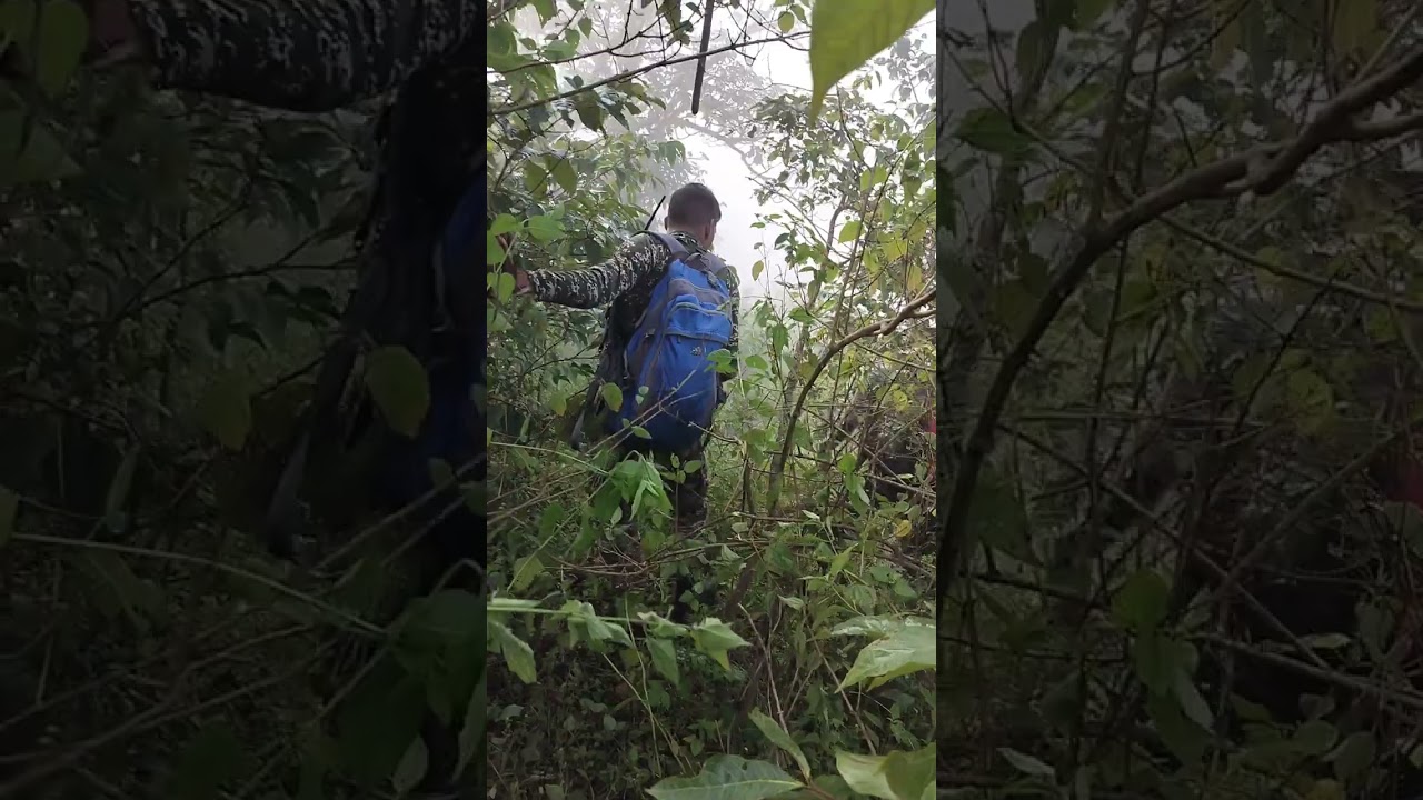 Combing operation#viralreels #search #army #tranding #viralvideo #viralshort