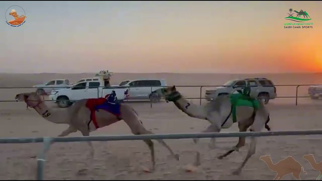 الشوط الاول بكار لقايا صرخه خلف نايف الفرتاج
