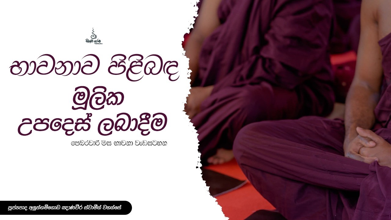 භාවනාව පිළිබඳ මූලික උපදෙස් ලබාදීම - Ven Aluthgamgoda Gnanaweera Thero | නිහඬ අරණ