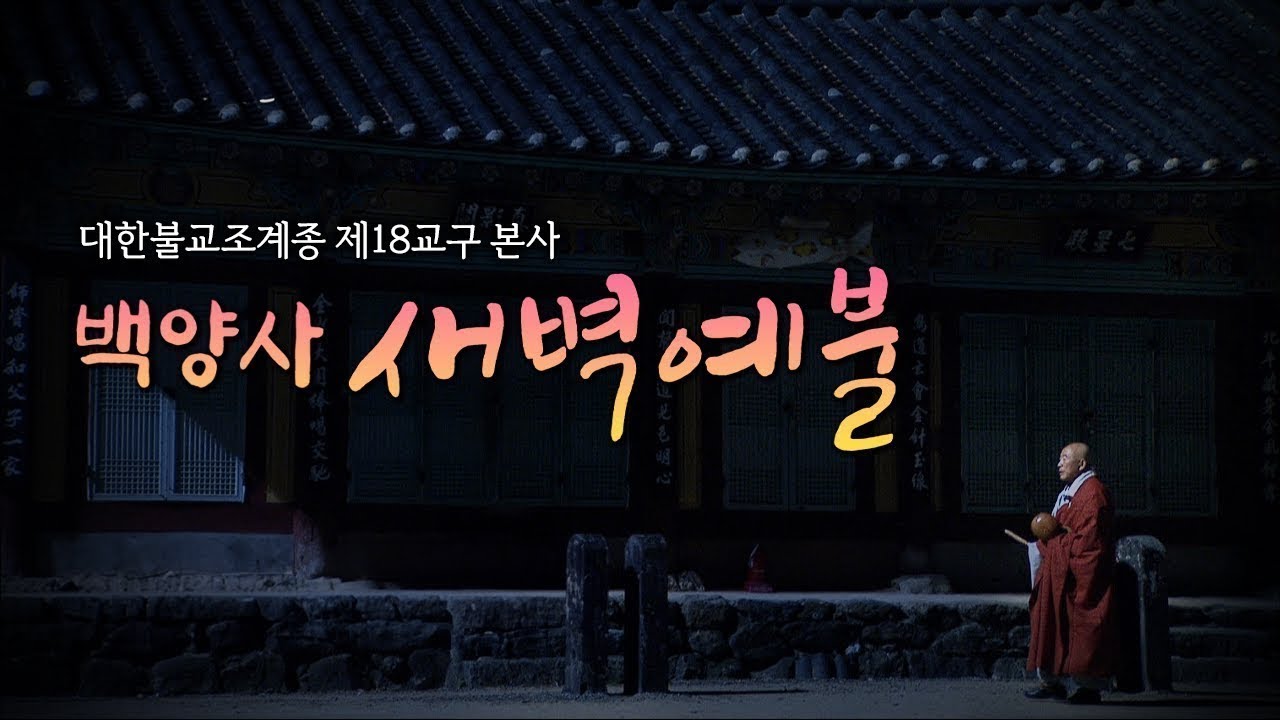 나를 깨우는 청아한 목탁소리🔔 새벽 예불로 시작하는 하루🙏 | 천년고찰 백양사 새벽예불