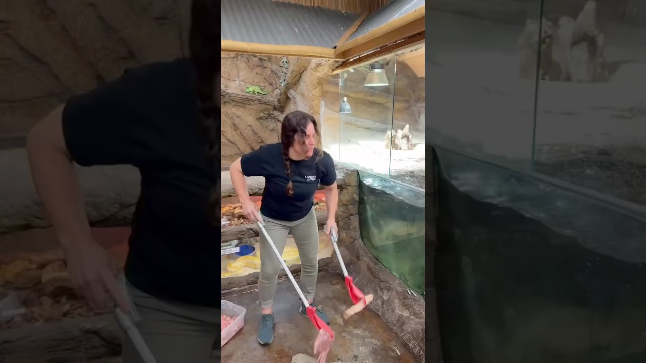#commentary #viralvideos #funnyreactions