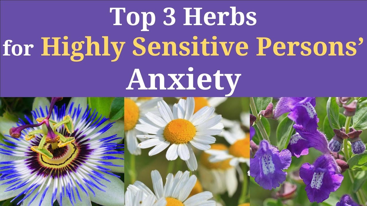 Top 3 Herbs To Ease A High Sensitives Anxiety