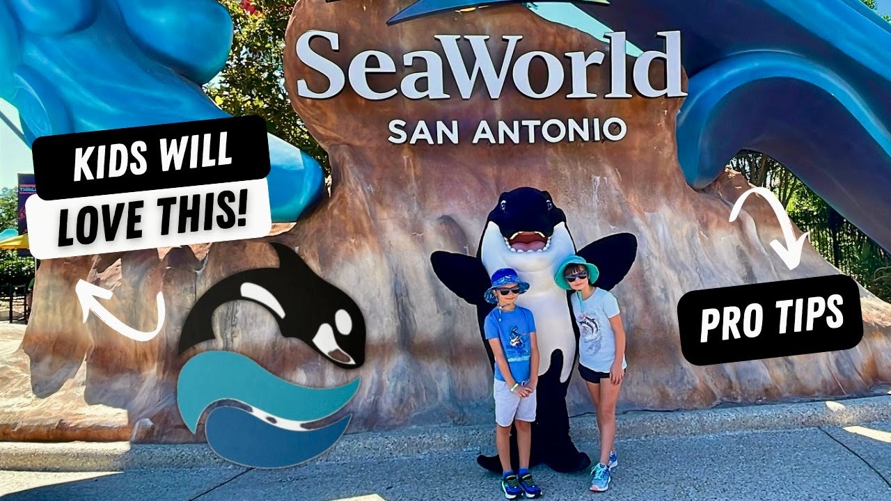 Top Things to Do at SeaWorld San Antonio for Families with Young Children