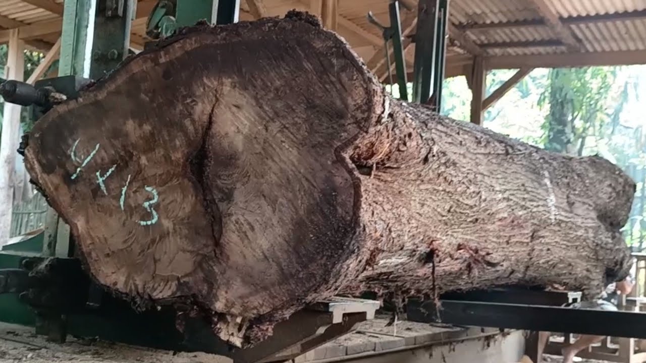 Processing challenging wood in a sawmill 