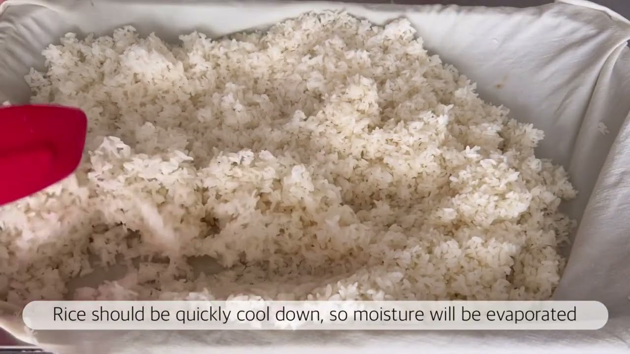 How to make Koji rice at home 쌀누룩 만들기