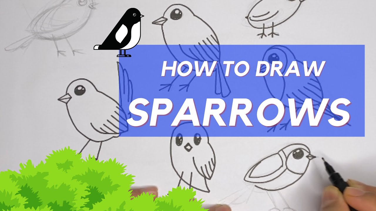 How to draw different shape sparrows | Simple trick no need to draw using numbers or alphabets.