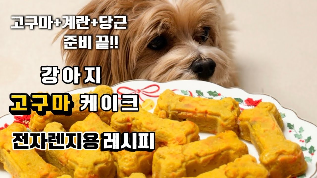 절대 실패없는 강아지수제간식/ 전자렌지로 만드는 강아지 간식