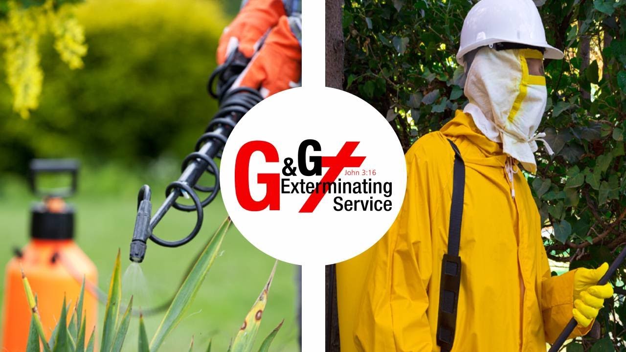 G&G Exterminating Service
