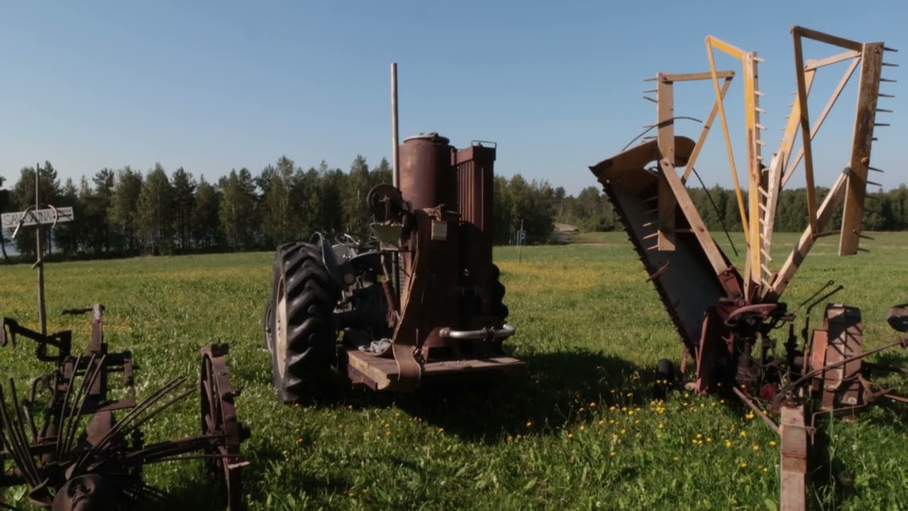 HIETALAN HIRSINAVETTAGALLERIA VIITASAARI 2025