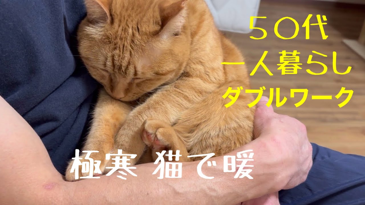 【猫のいる暮らし】５０代一人暮らし 寒いのに薄着、猫で暖を取る。だから底辺から抜け出せないんだよ‥。