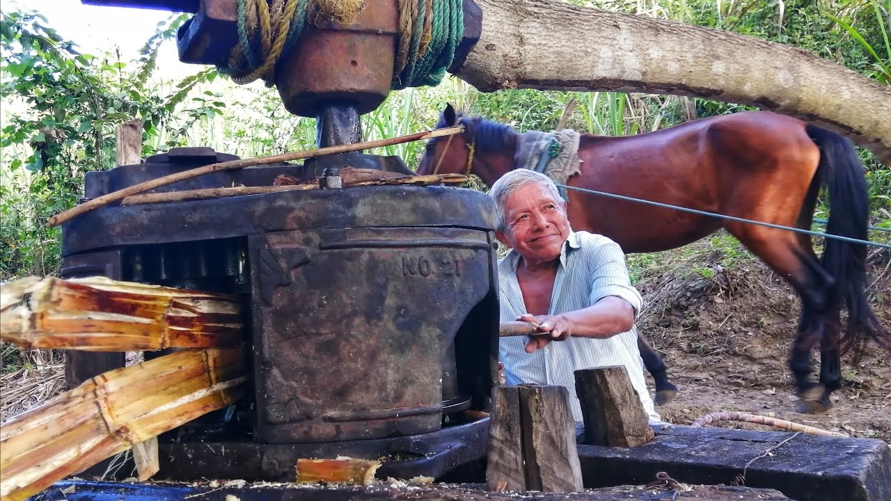 LA MOLIENDA TRADICIONAL EN LA HUASTECA POTOSINA - PROCESO DEL PILONCILLO