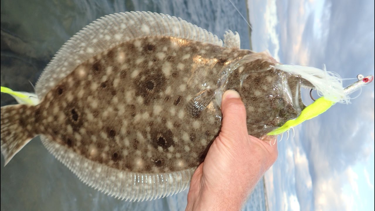 Flounder/Fluke Fishing - Wading Flats and Bars