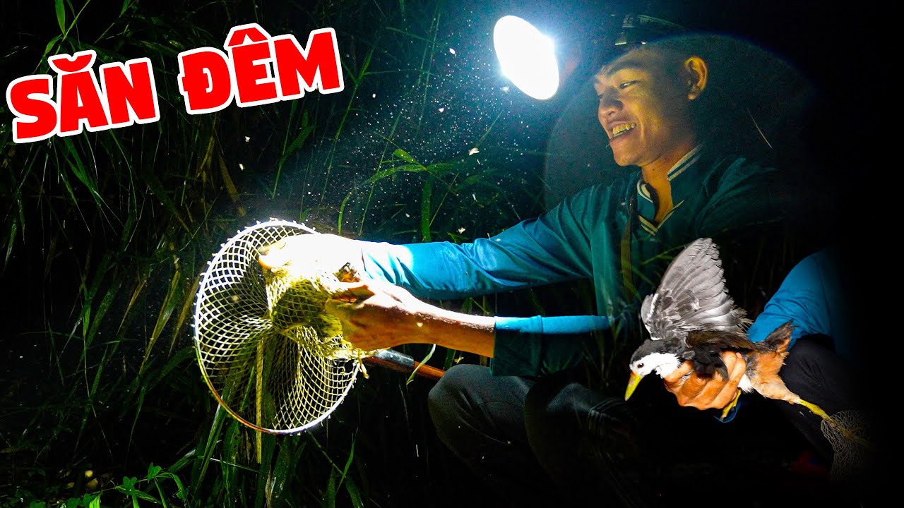 Ký Sự Rừng Già U Minh - Tập 28