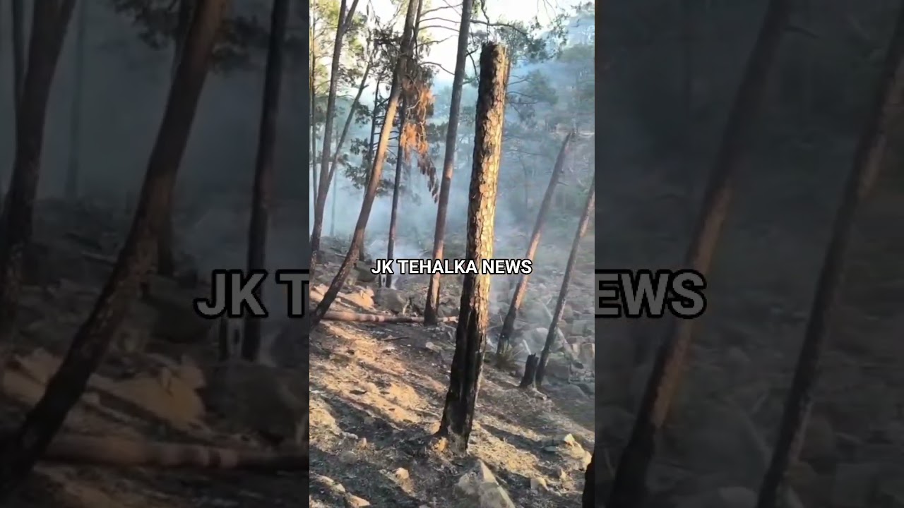 Forest officials rescue newborn peachicks from Ramnagar forest fire.