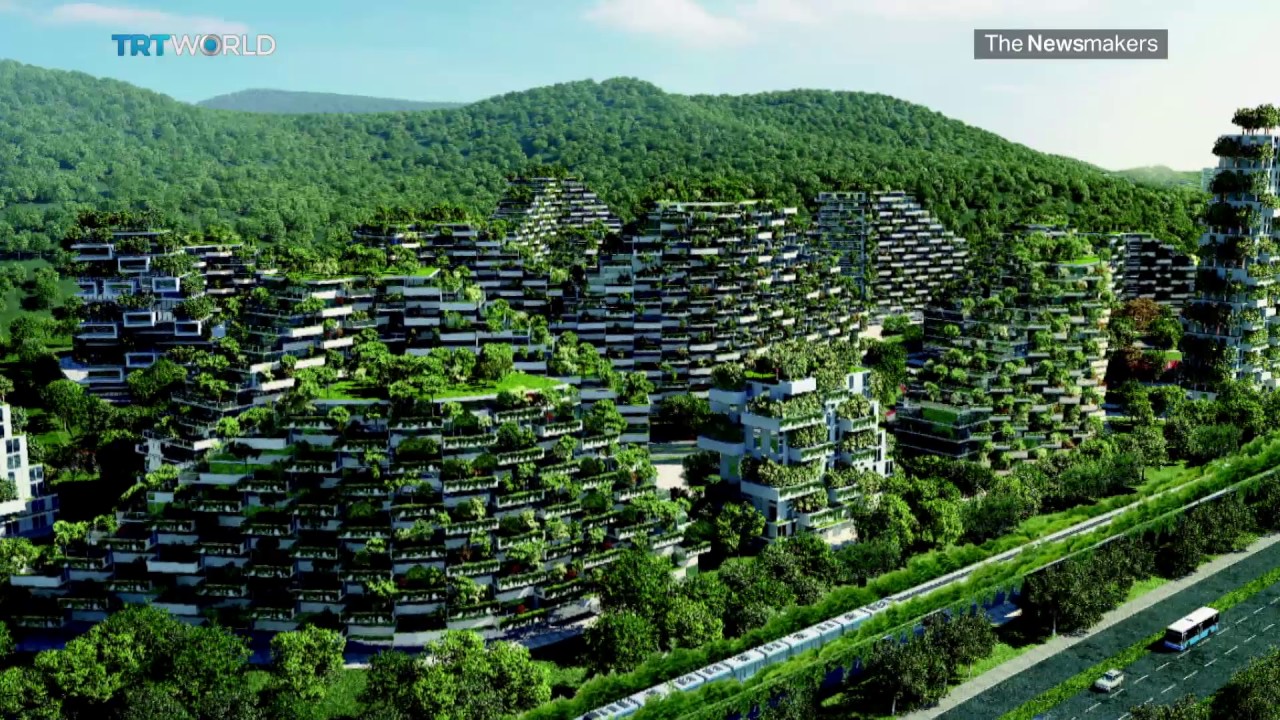Picture this: China's green city