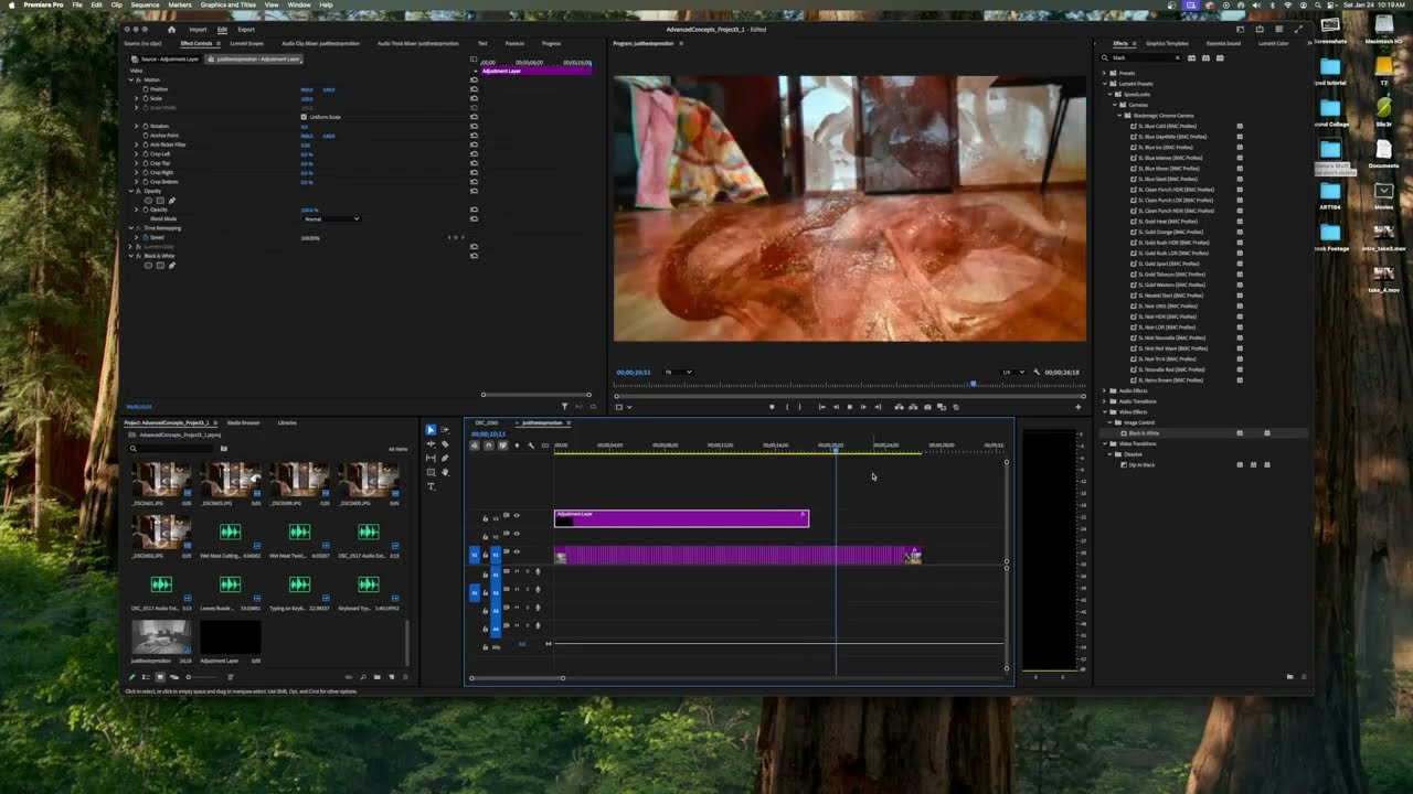Art 300: Titles, Transitions, and SFX