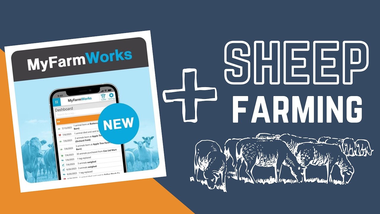 MyFarmWorks for Sheep Farmers | Knowing Your Sheep Data to Build a Profitable Sheep Flock
