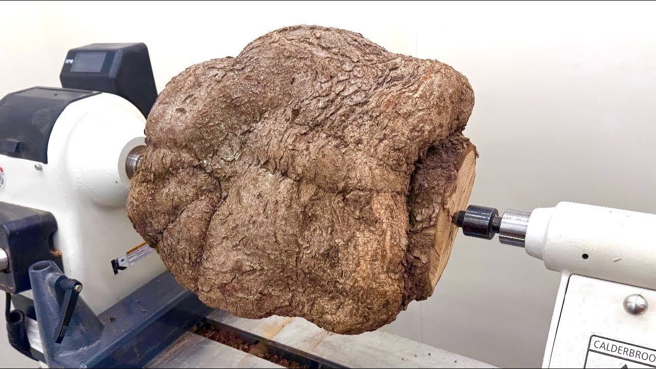 ‼️Who Wants To See What’s Inside This Giant Tree Wart ??? - WOODTURNING ‼️